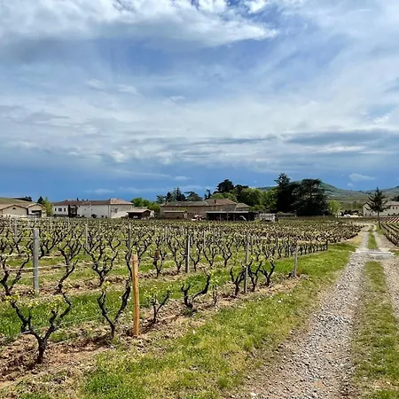 Domaine Gilles Coperet- Artisan-Vigneron- Chambres D'Hotes Les Glycines - Regnie-Durette Exterior photo