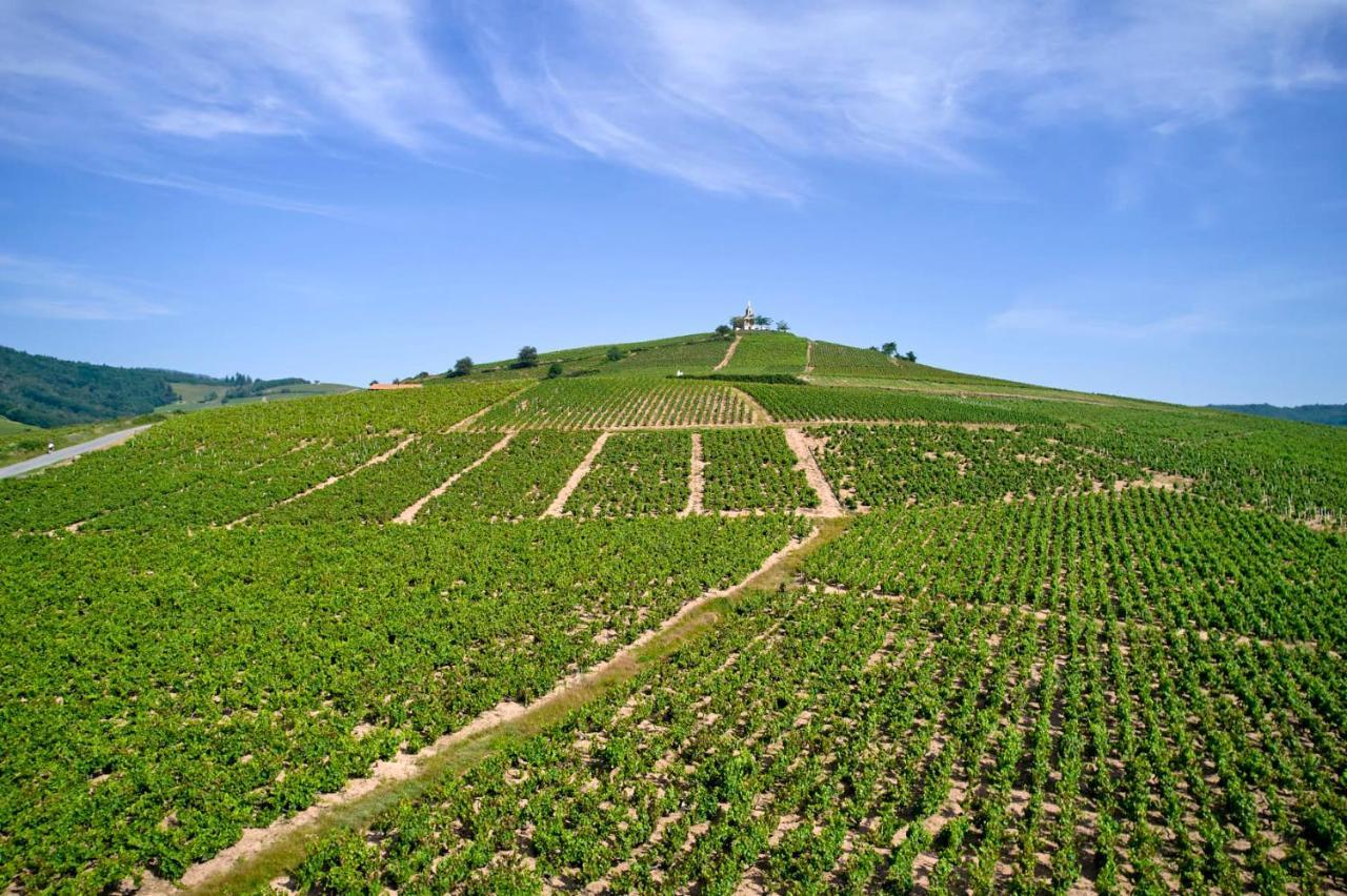 Les Glycines - Domaine Gilles Coperet