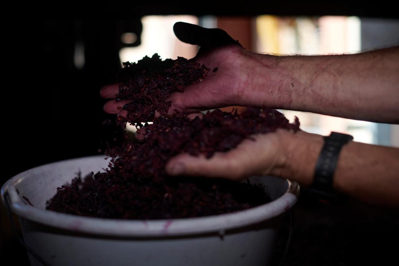 Couette-café Les Glycines - Domaine Gilles Coperet Régnié