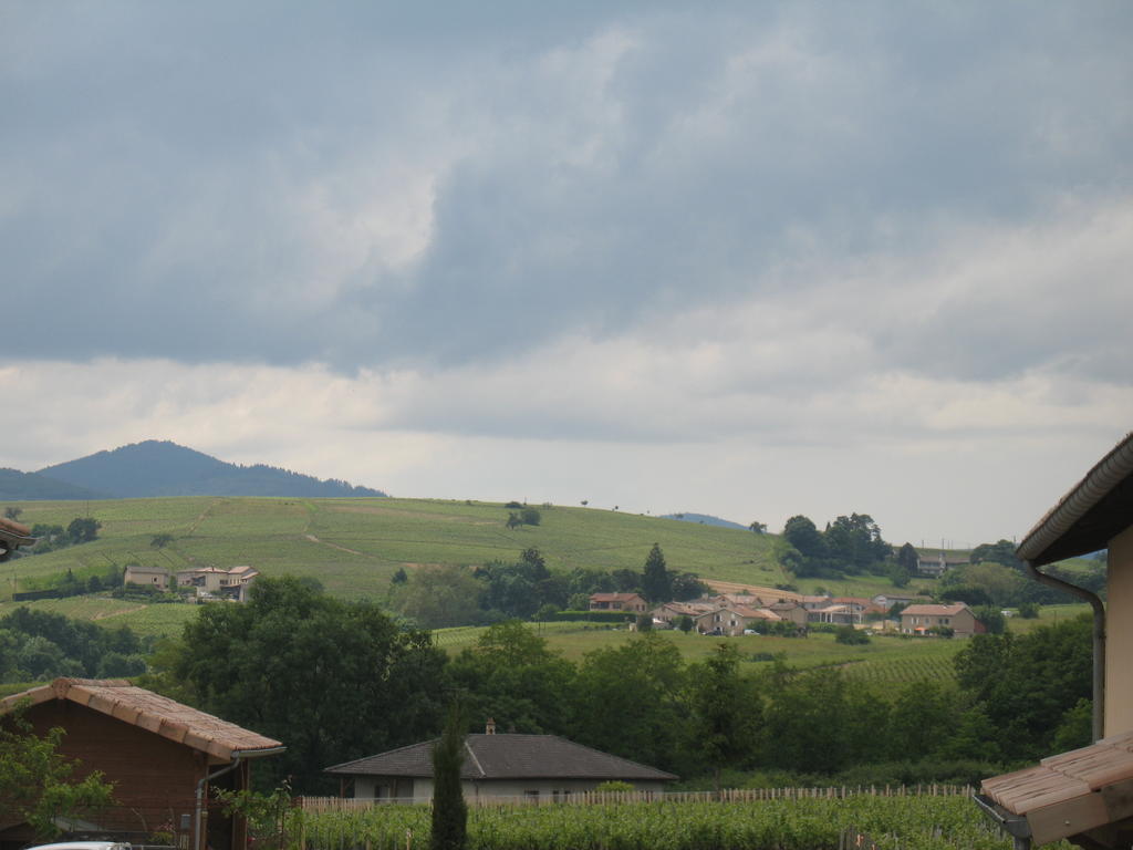 Couette-café Les Glycines - Domaine Gilles Coperet *